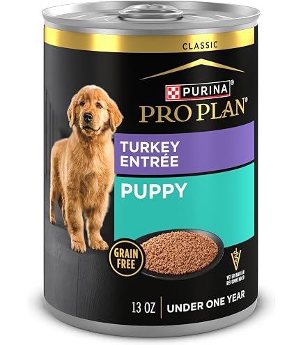 Amazon.com: Purina Pro Plan Wet Puppy Food Pate, Chicken & Rice